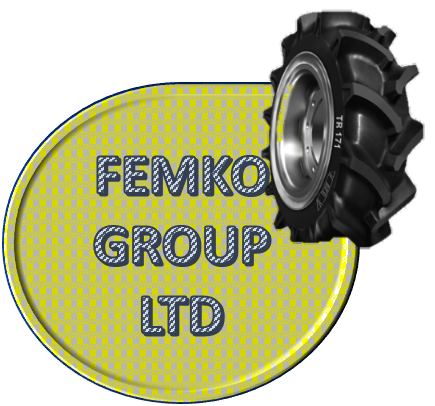 FEMKO International GROUP LTD