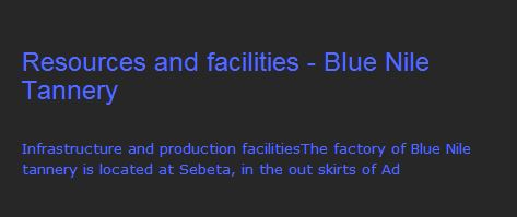 Blue Nile Tannery