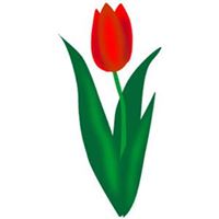 Thabusase Stationers - Pty Ltd