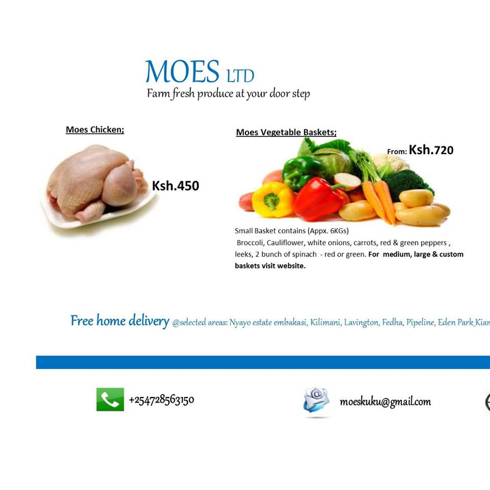 Moes Ltd