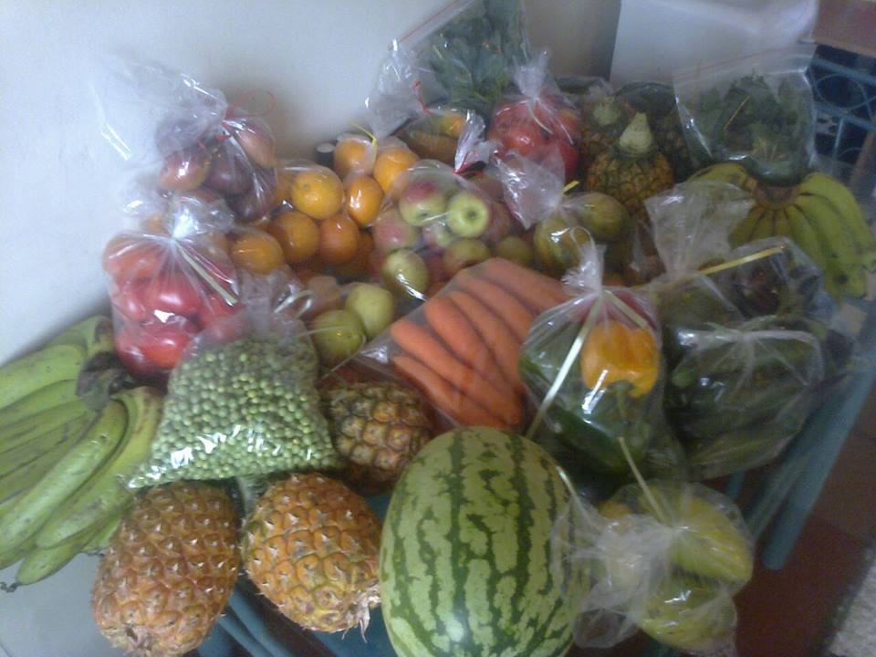 Ever Fresh vegez supply