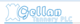 Gellan Tannery PLC