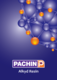 Paints and Chemical Industries (PACHIN)