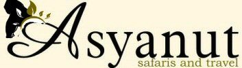 Asyanut Ltd.