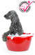  Treat-a-Pet