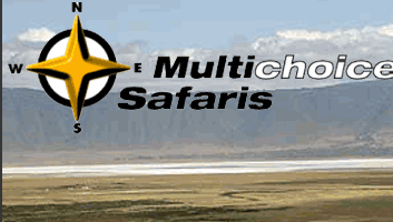 Multichoice Safari Ltd.