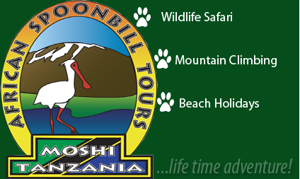 AFRICAN SPOONBILL TOURS & SAFARI
