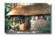 Thorntree River Lodge
