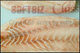 Nge-ge Fish Processors Ltd.