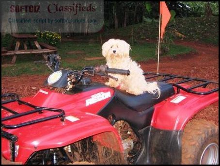 All Terrain Adventures Uganda Ltd.