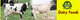 Yielding Feeds Ltd.