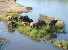 Catembe Gallery Hotel
