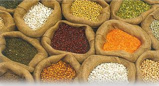 Ethiopian Pulses, Oilseeds & Spices Exporters Association