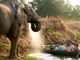 Zambezi Safari & Travel Co. Ltd.