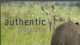 Authentic Tanzania Safaris