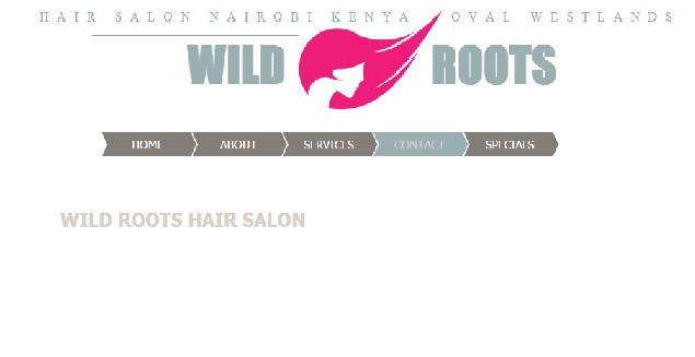Wild Roots Salon