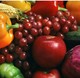 Food Export International
