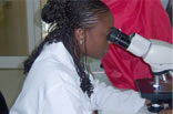 Diagnostic and Research Center for Molecular Medicine 