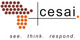 CES Africa Investment (CESAI) Ltd.