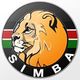 Simba Digital Marketing