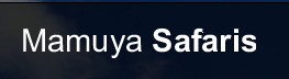 Mamuya Safaris