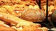 LA PATISSERIE DE UTEX 
