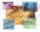 Soft-Tech Consultants Ltd