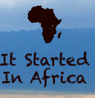 It Started in Africa