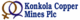 Konkola Healthcare PLC