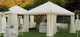 Timeless Tents
