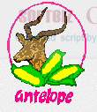 Antelope Milling Co. Ltd