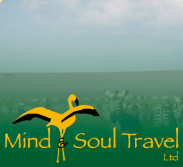 Mind & Soul Travel Ltd.