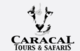 Safaris Mountain Climbing Beach Holidays