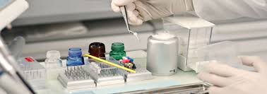Lab De Souza
