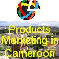 A54 Marketing Group