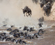 Paradise Africa Safaris