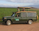 Friends of Africa Family Safaris