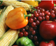 Food Export International