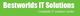 BestWorlds IT Solutions