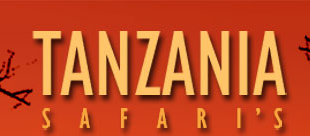 Kichaos Tanzania Safaris