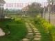 Lugeye Property Consultants Ltd