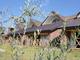 Lalibela Lodge