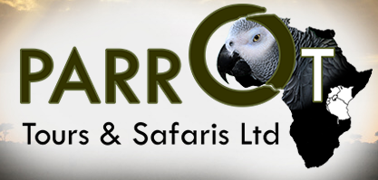Parrot Safaris