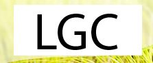 Lions Group of Companies