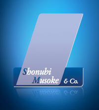 Shonubi Musoke and Co