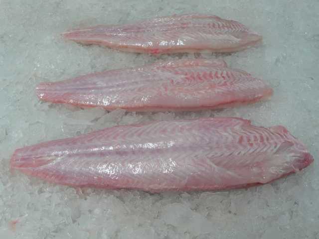 The Atlantic Seafood Company (Gambia) Ltd.