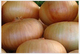 Amiran Kenya Ltd.