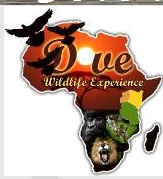 DOVE WILDLIFE EXPERIENCE LTD.