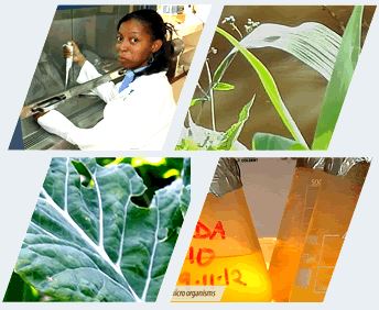 MEA FERTILIZERS