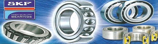 SALAMA BEARINGS LTD.